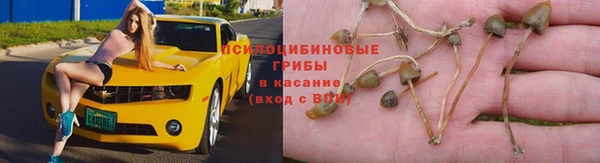 хмурый Баксан